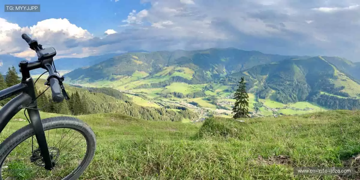 专业解说,深度剖析!🎙️